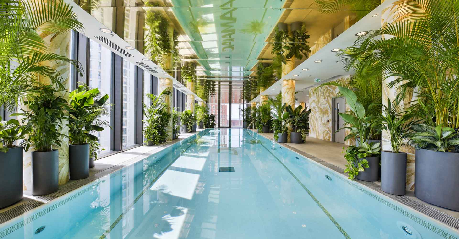 The indoor pool in the Damac Tower